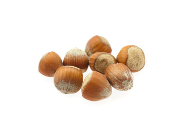 hazelnuts isolated on white
