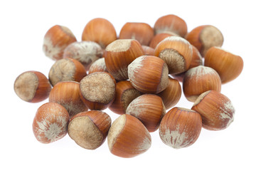 hazelnuts isolated on white