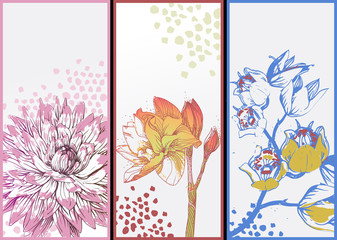 set of 3 vector card with blooming flowers