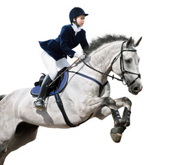Equestrian jumper - 27435567