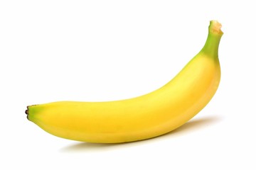 D&eacute;lice des singes