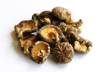 Shiitake Mushroom