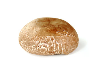 Mushroom cap