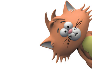 bonjour le chat © NJ