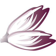 radicchio