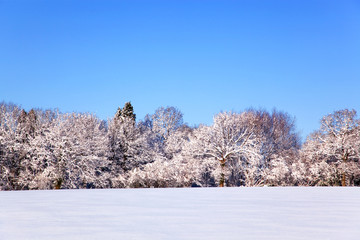 Snow landscape