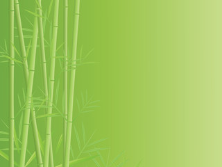 Vector bamboo background
