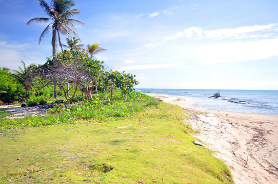 undeveloped beach property Corn Island Nicaragua
