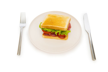 Tasty sandwich isolated on the white background