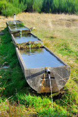 Drinking trough