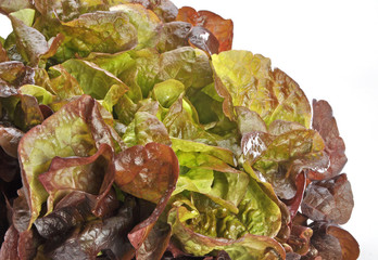 Salat