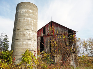 Abandoned barn in autumn