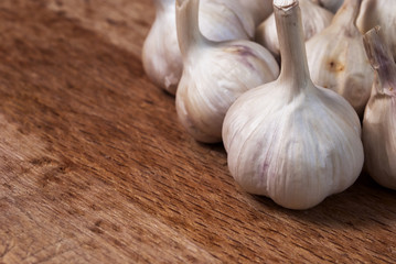 Garlic