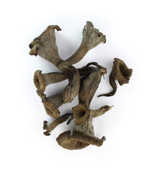 Obraz premium Trompettes de la mort