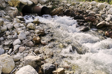 freshwater stream