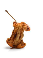 old rotten apple. isolated on white background