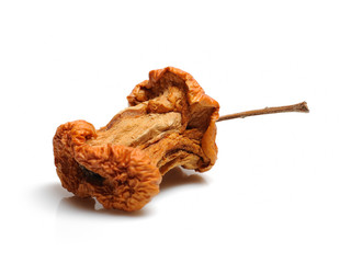 old rotten apple. isolated on white background