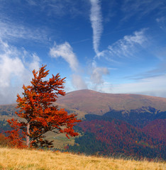 Colorful autumn landscape in the Carpathian mountains