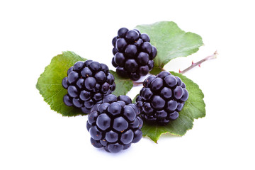 Blackberries