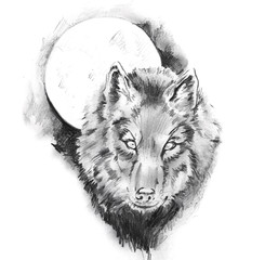 Sketch of tattoo art, wolf