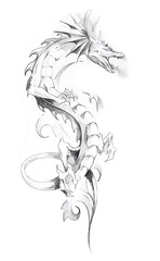 Sketch of tattoo art, dragon