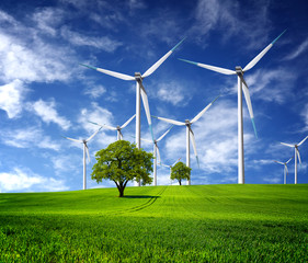 Ecological direction