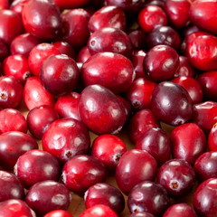 Cranberries