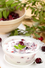 frischer Cranberryjoghurt