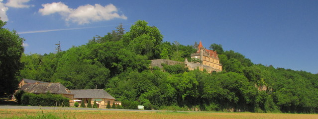 Fototapeta na wymiar Vallée de la Vézère ; Périgord Noir ; Aquitaine