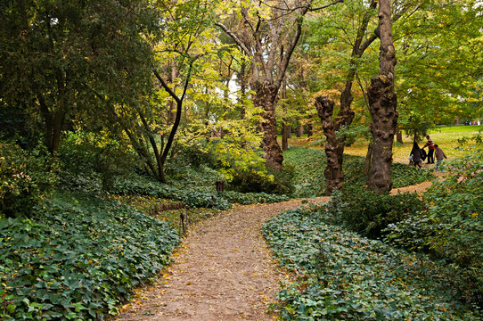 Parque "El Capricho" - Madrid (Espa&ntilde;a) - Sendero