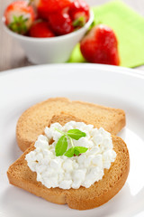 Zwieback mit körnigem Frischkäse