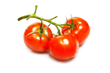 tomatoes isolated on white