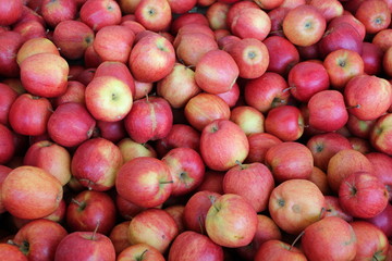 Gala Apples