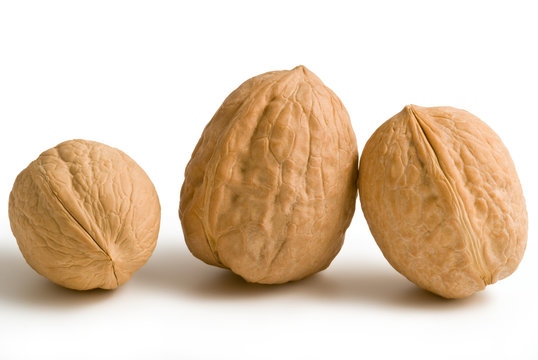 Noci