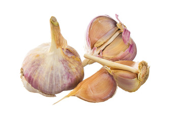 garlic