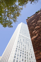 新宿副都心高層ビル群