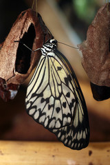 с днем рожденья