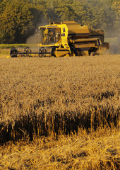 Obraz premium harvester-thresher