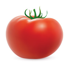 Big red ripe tomato