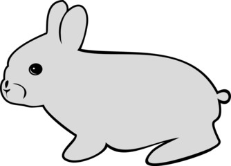Vector image of  hare or rabbit on white background