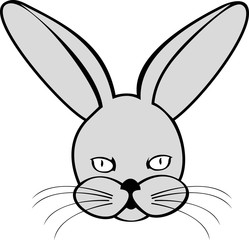 Vector image of  hare or rabbit on white background