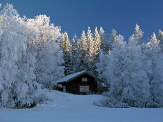 Winter landscape