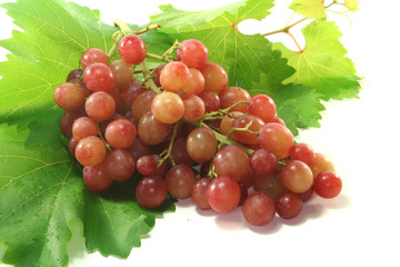 Weintrauben