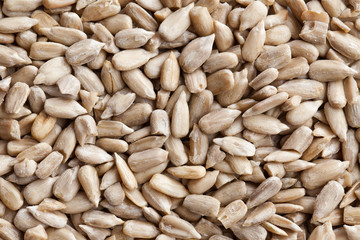 sunflower seeds