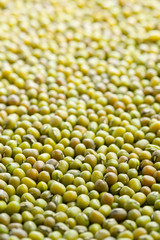 mung beans
