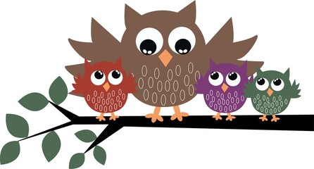 owl family