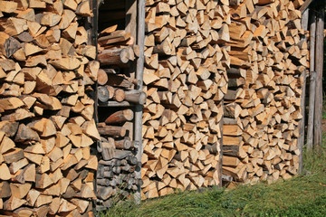 Holzvorrat
