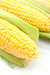 Corn isolated on white