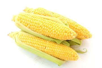 Corn isolated on white