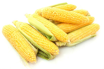 Corn isolated on white